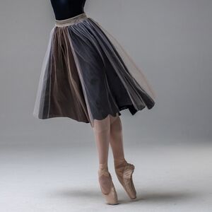 Zidans ballet tulle skirt, one size, BNWT!